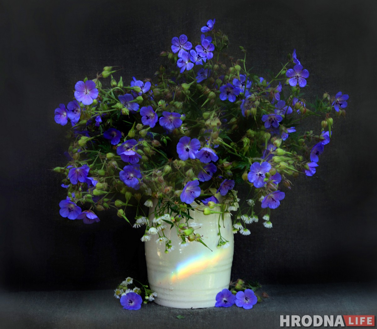 “Вылізанай гламурнасці тут няма". Нацюрморты з лецішча ад Наталлі Дораш дапамогуць справіцца з зімовай дэпрэсіяй