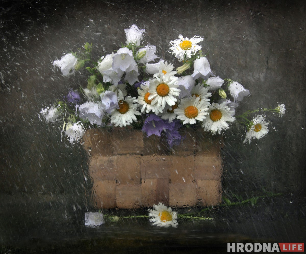 “Вылизанной гламурности здесь нет”. Дачные натюрморты Натальи Дорош помогут справиться с зимней депрессией