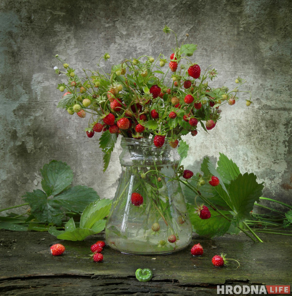 “Вылізанай гламурнасці тут няма". Нацюрморты з лецішча ад Наталлі Дораш дапамогуць справіцца з зімовай дэпрэсіяй