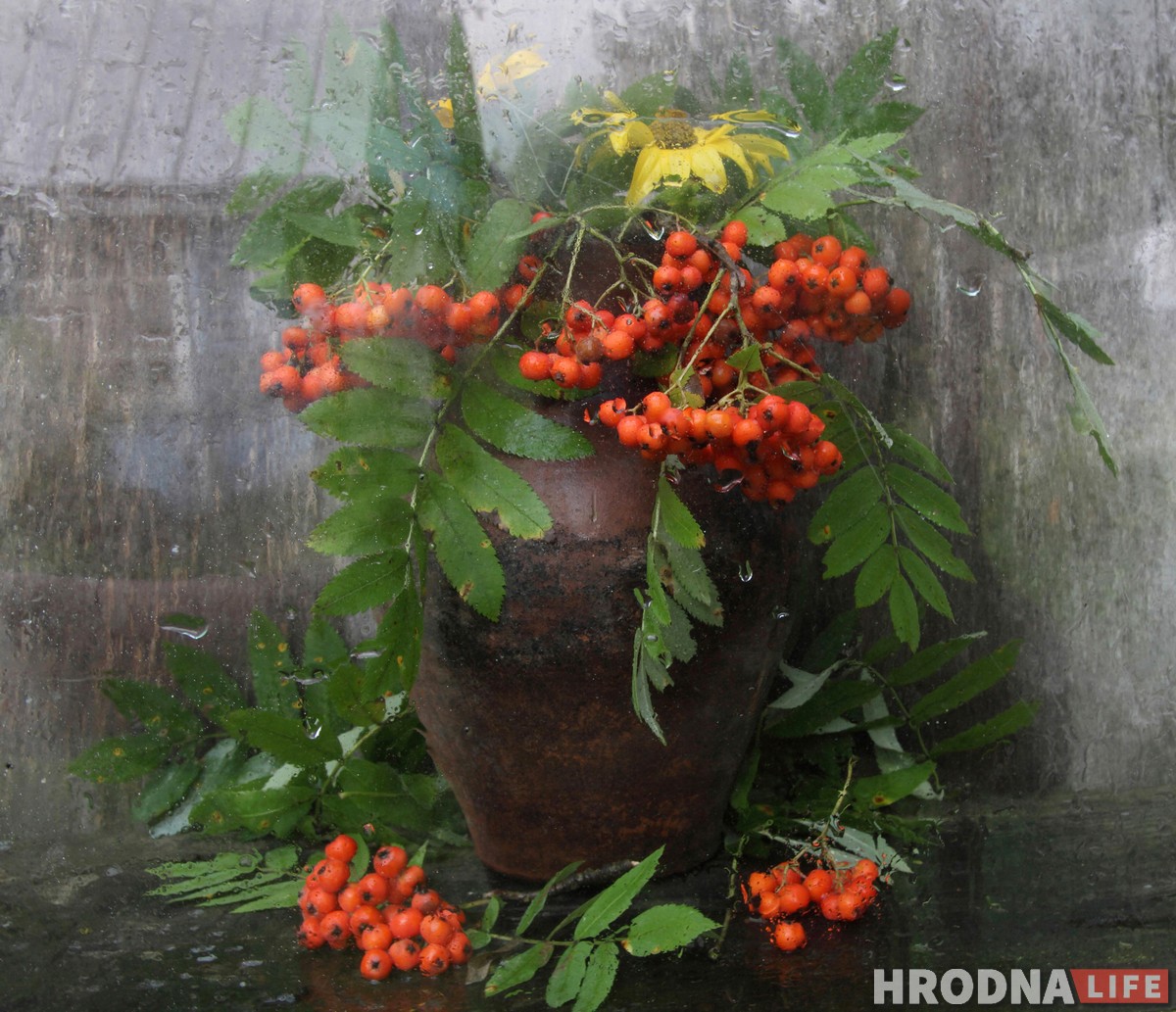 “Вылизанной гламурности здесь нет”. Дачные натюрморты Натальи Дорош помогут справиться с зимней депрессией