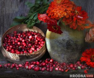 “Вылизанной гламурности здесь нет”. Дачные натюрморты Натальи Дорош помогут справиться с зимней депрессией “Вылизанной гламурности здесь нет”. Дачные натюрморты Натальи Дорош помогут справиться с зимней депрессией