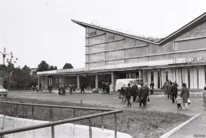 Советская модернистская архитектура. Архитектура советского модернизма в Гродно - Скидельский рынок