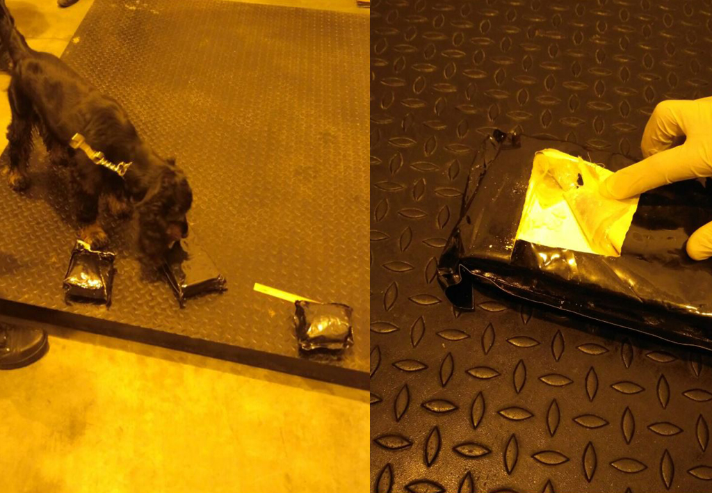 Ад гашышу да варанаў. Якімі былі 10 самых гучных канфіскацый на гродзенскай мытні