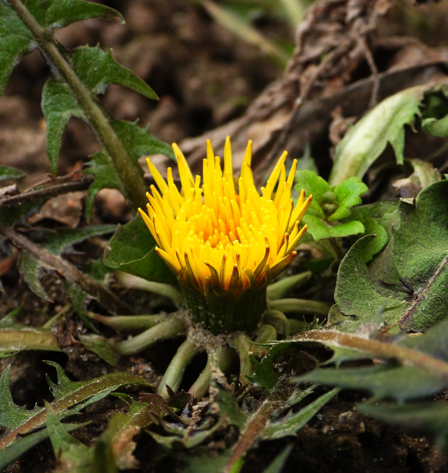 Куда уходит климат? Топ изменений в Беларуси и мире, которые уже произошли