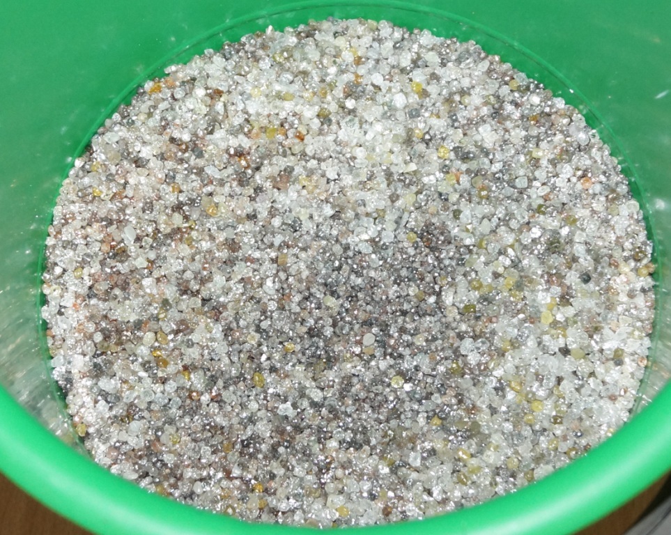 Ад гашышу да варанаў. Якімі былі 10 самых гучных канфіскацый на гродзенскай мытні