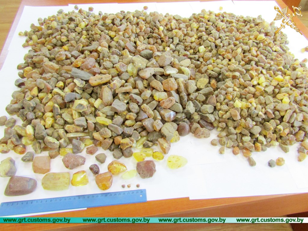 Ад гашышу да варанаў. Якімі былі 10 самых гучных канфіскацый на гродзенскай мытні