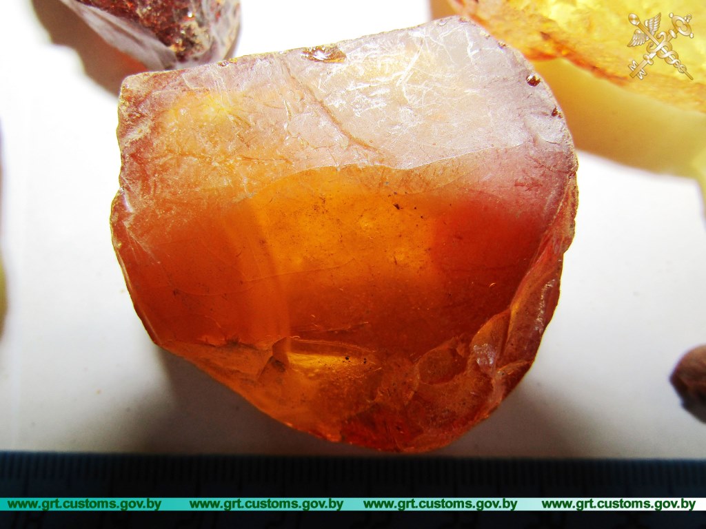 Ад гашышу да варанаў. Якімі былі 10 самых гучных канфіскацый на гродзенскай мытні