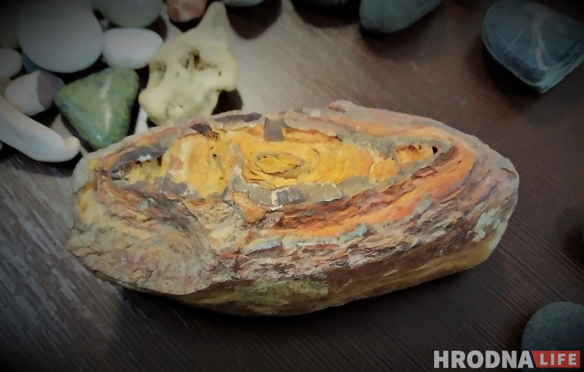 От конфетных фантиков до осколков Помпеи. На Живой библиотеке рассказали, что коллекционируют гродненцы От конфетных фантиков до осколков Помпеи. На Живой библиотеке рассказали, что коллекционируют гродненцы