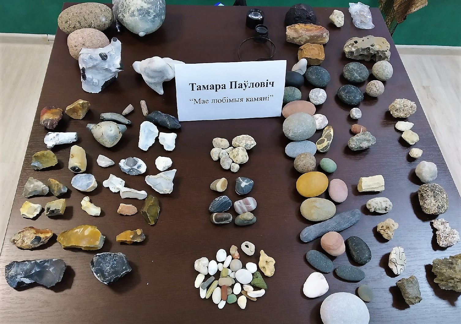 От конфетных фантиков до осколков Помпеи. На Живой библиотеке рассказали, что коллекционируют гродненцы От конфетных фантиков до осколков Помпеи. На Живой библиотеке рассказали, что коллекционируют гродненцы