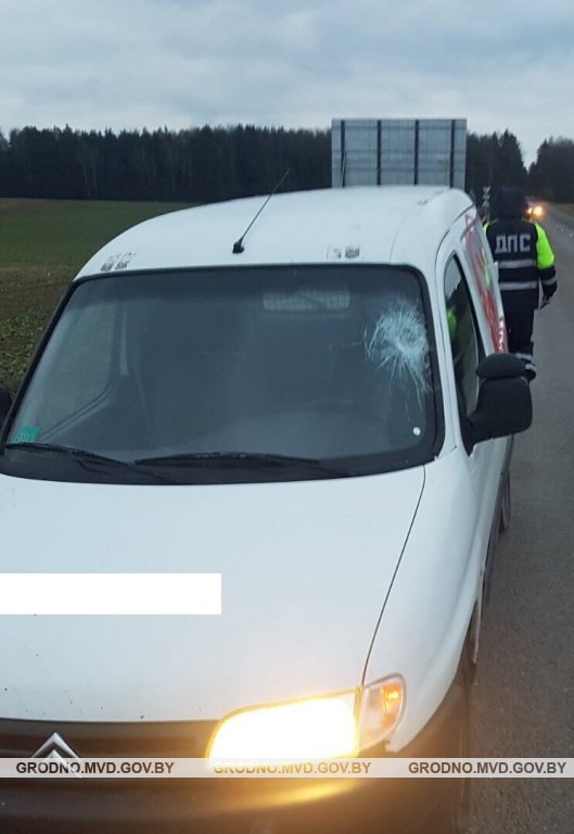 Пьяный мужчина вышел на дорогу и бросил знак в машину