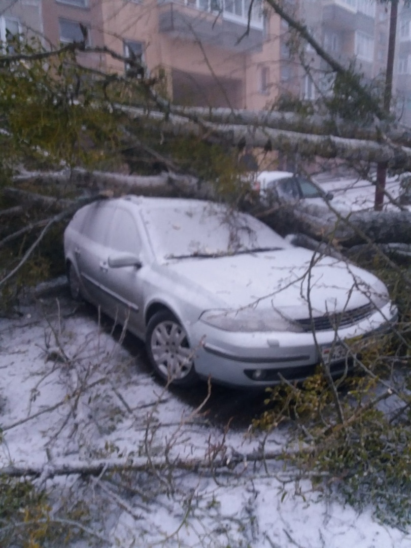 Зима пришла в середине марта: погода внесла коррективы в планы гродненцев 