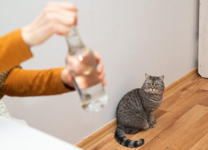 Дапамога адкуль не чакалі. Як зрабіць санітайзер з гарэлкі?