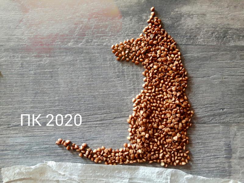 Когда дома есть гречка и туалетная бумага. Антикризисное искусство Фота: grodno.greenbelarus.info