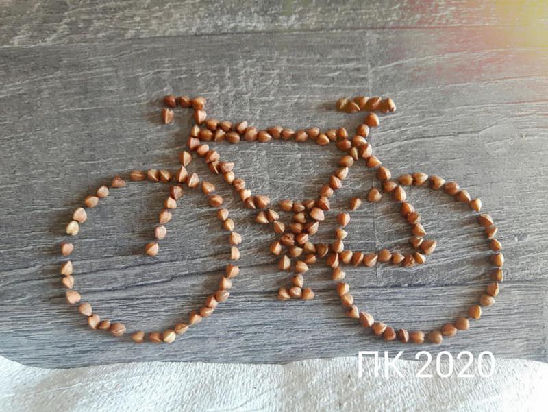 Когда дома есть гречка и туалетная бумага. Антикризисное искусство Фота: grodno.greenbelarus.info