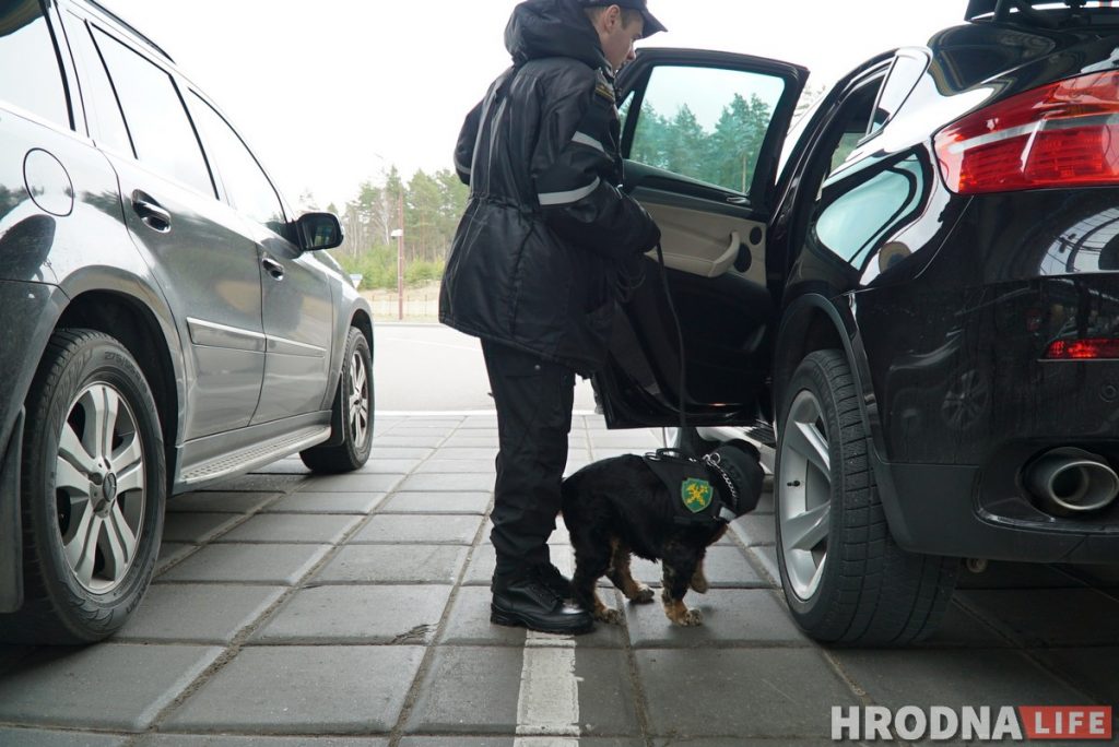 С отдельными кабинетами и служебным автомобилем. Как живут и работают собаки Гродненской таможни собаки граница кинологи