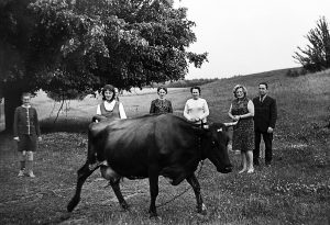 Женский роман времен пандемиии. Наталия Дорош пишет “фото-сериал” о том, что было и прошло