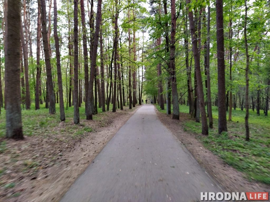 "Сломал руку и выплюнул два зуба". Как закончить конфликт велосипедистов и пешеходов в Пышках?