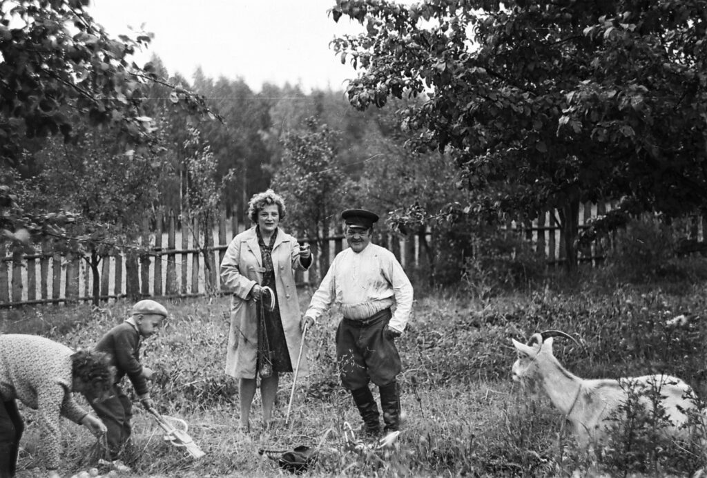 Женский роман времен пандемии. Серия 5. Дед Лешек и его козы
