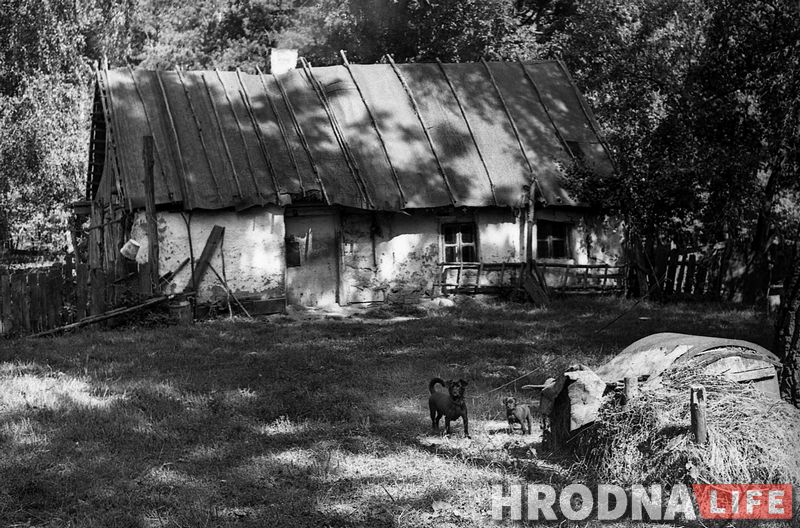 Женский роман времен пандемии. Серия 5. Дед Лешек и его козы