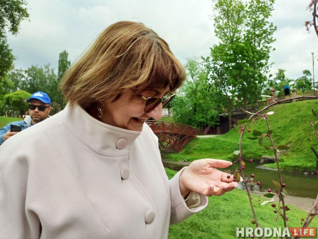 Журналисты посадили ивы, а главный архитектор – ягодную яблоню. В парке Жилибера появились новые деревья