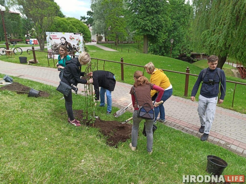Журналисты посадили ивы, а главный архитектор – ягодную яблоню. В парке Жилибера появились новые деревья