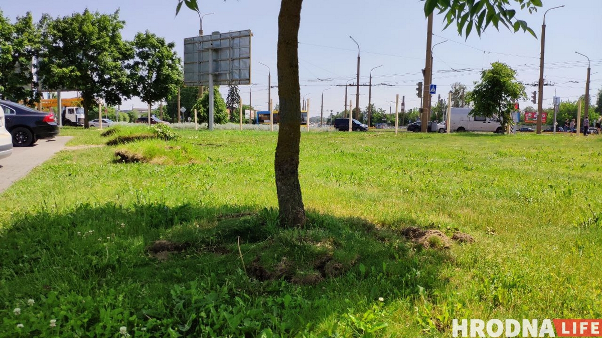 В Гродно появится McDonald’s. Стройка уже началась