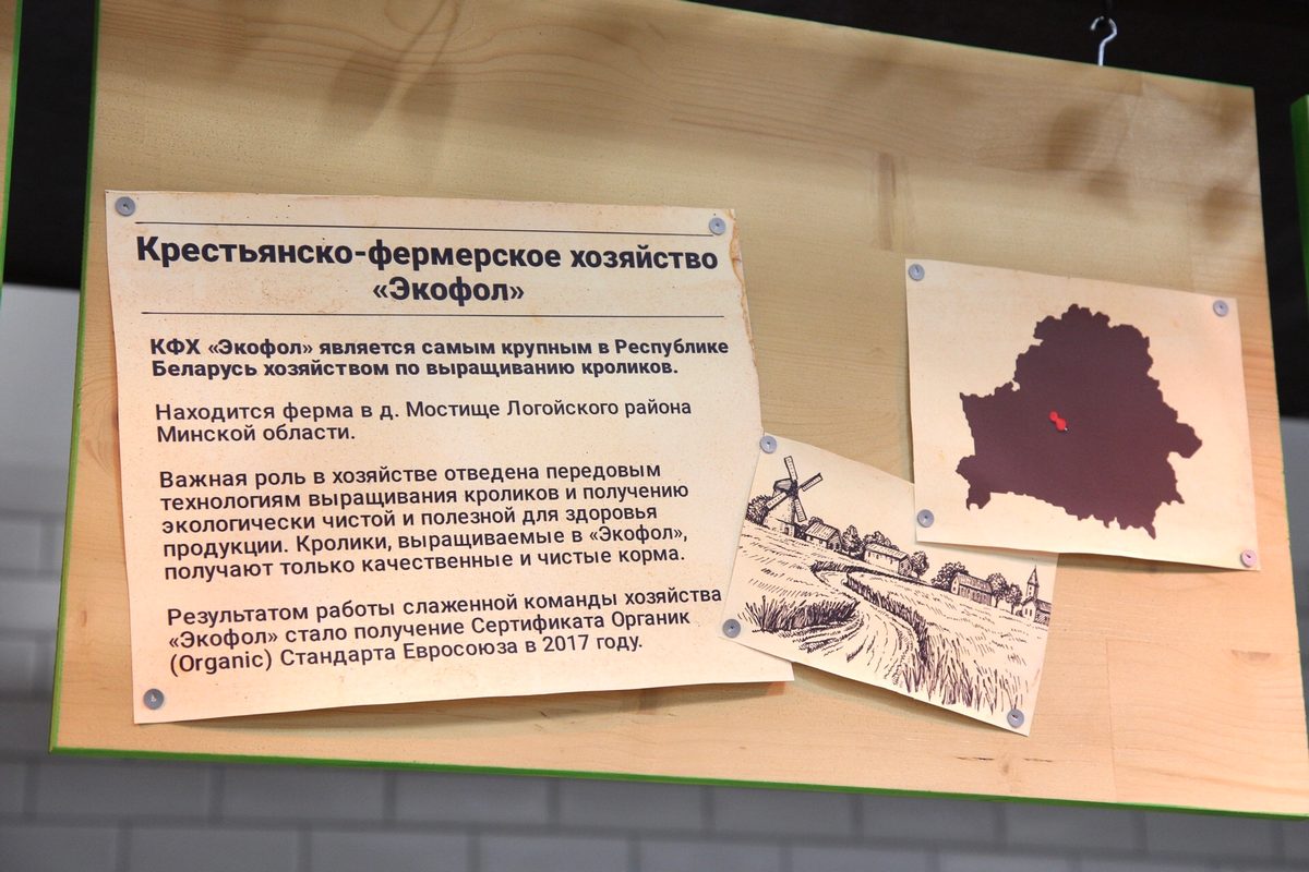 В Гродно появились фермерские островки. Что продают и по чем?