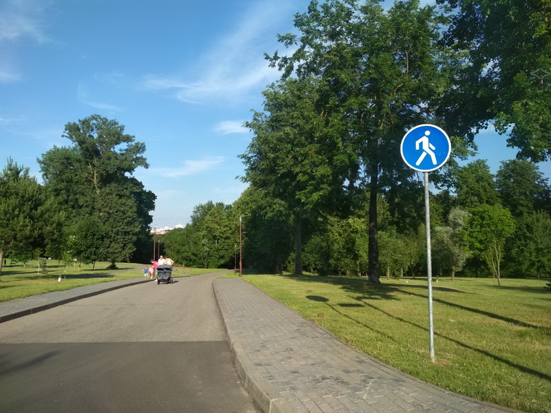 ГАИ откликнулась на критику? В Коложском парке ограничили скорость для машин