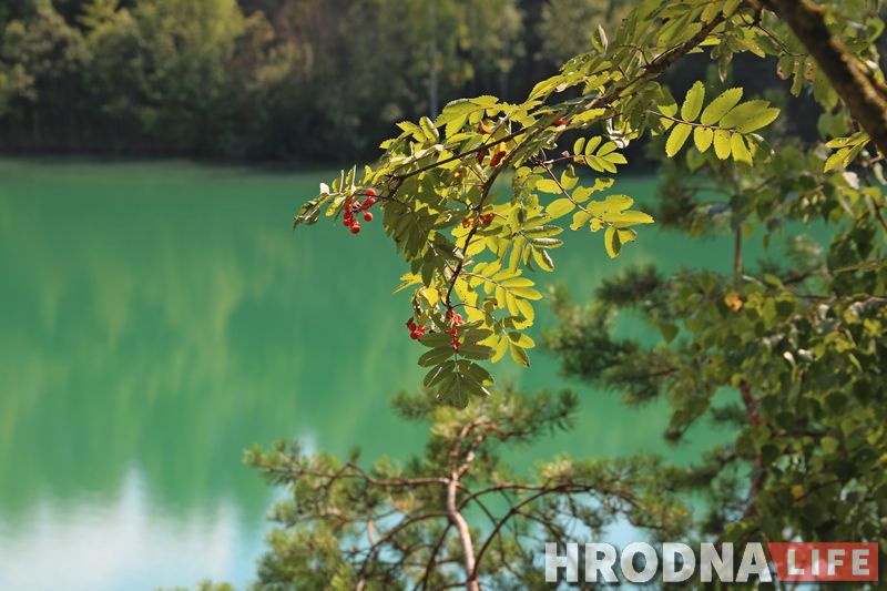 Редакторка Hrodna.life: Минус 4 за неделю или с чего начинается похудение