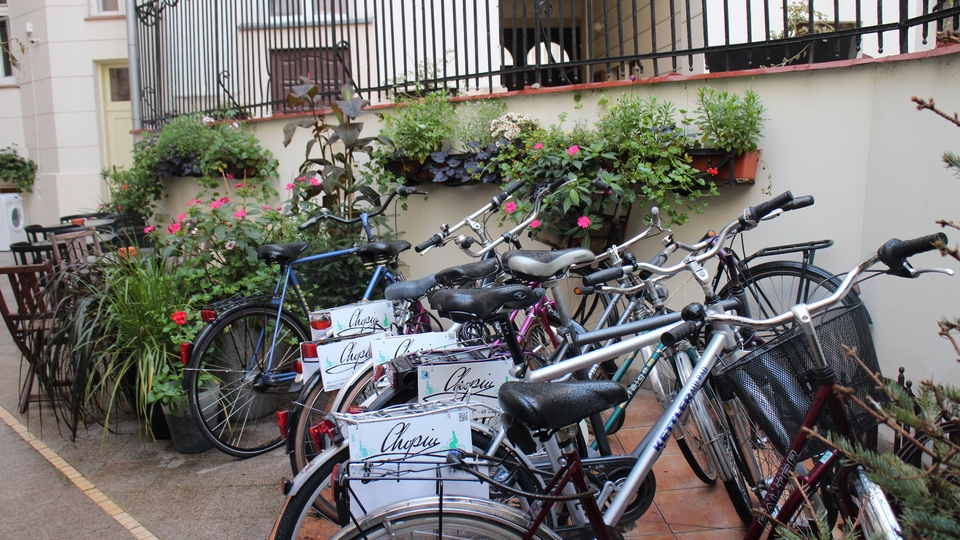 Правильные пчелы живут на крыше. Зачем ставить ульи в городе?