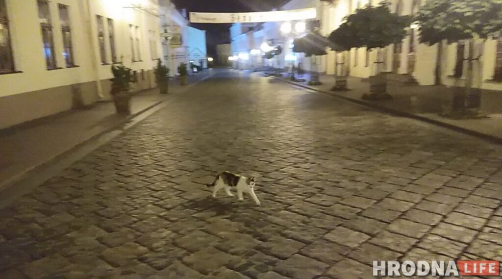 «Фашисты в кино — вежливые люди по сравнению с ними». Бармен из Гродно, — о 14 часах после встречи с ОМОНом