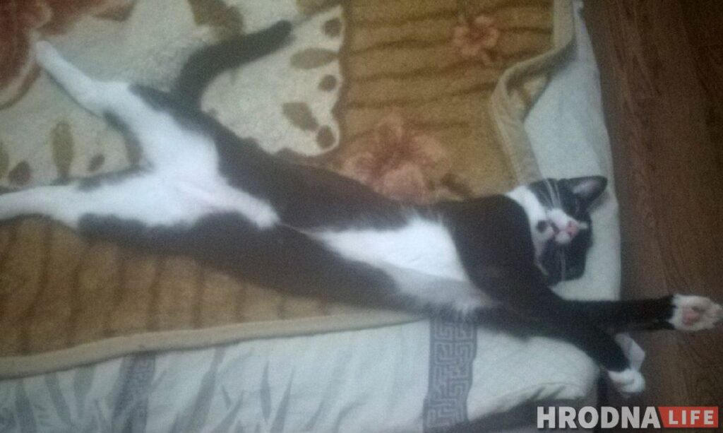 “Если не заткнешься - имей в виду...” Активистке стачкома “Гроднопромстроя” поступают угрозы