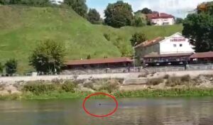 «Я просто был в центре». За что в центре Гродно задержали велосипедиста