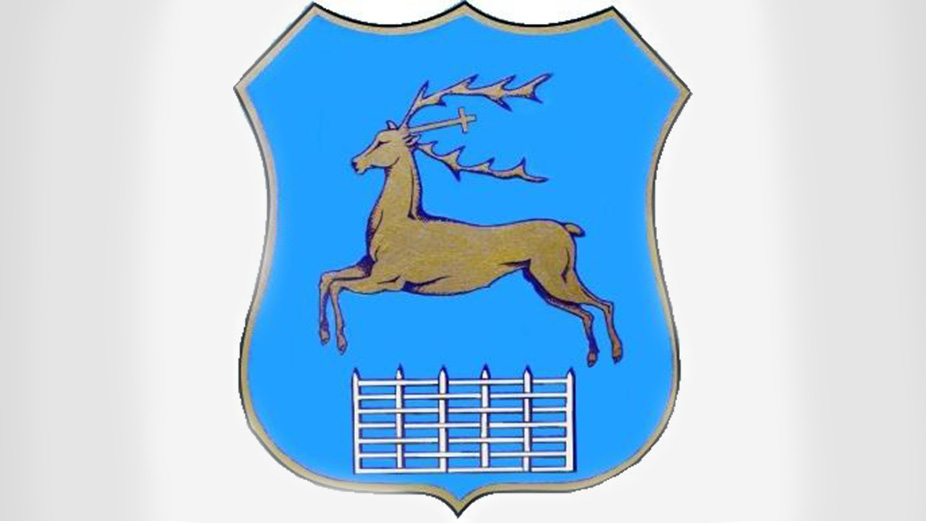 «Как узнал историю нашего герба - все изменилось». Краевед Алесь Гостев о том, когда в Гродно лучше отмечать День города