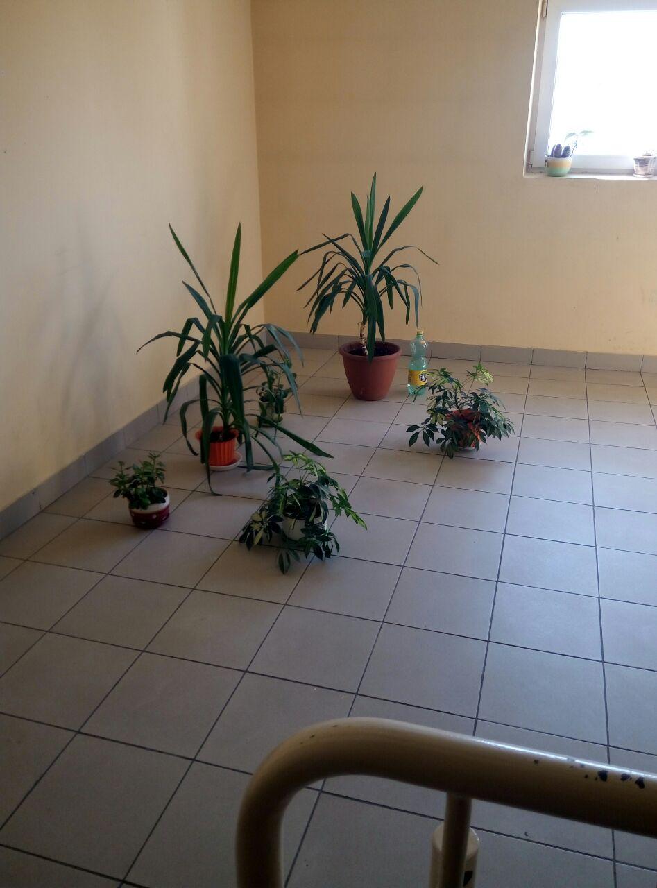 Сцягі або пажар? Ад чаго ратуюць горад пажарныя Гродна