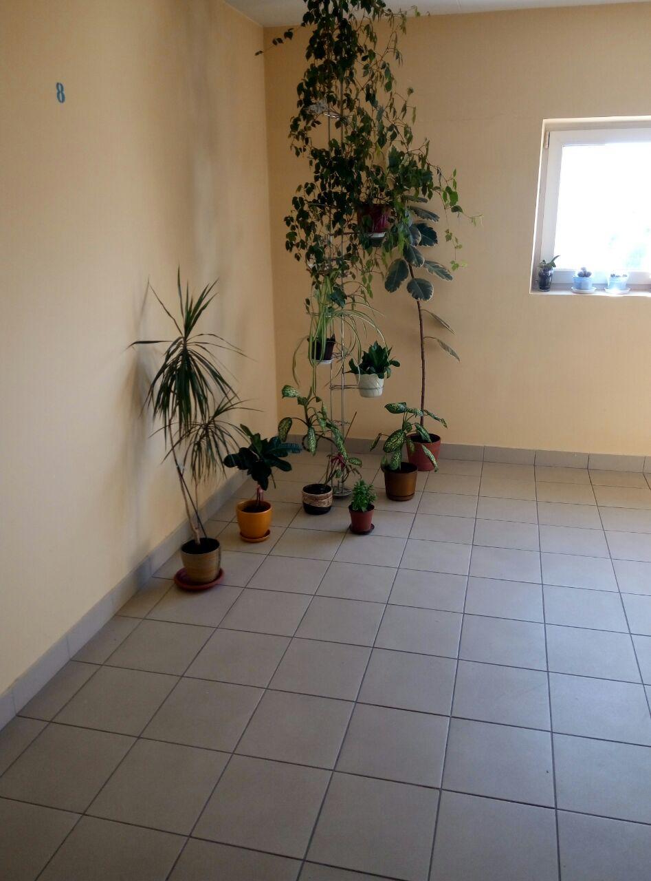 Сцягі або пажар? Ад чаго ратуюць горад пажарныя Гродна