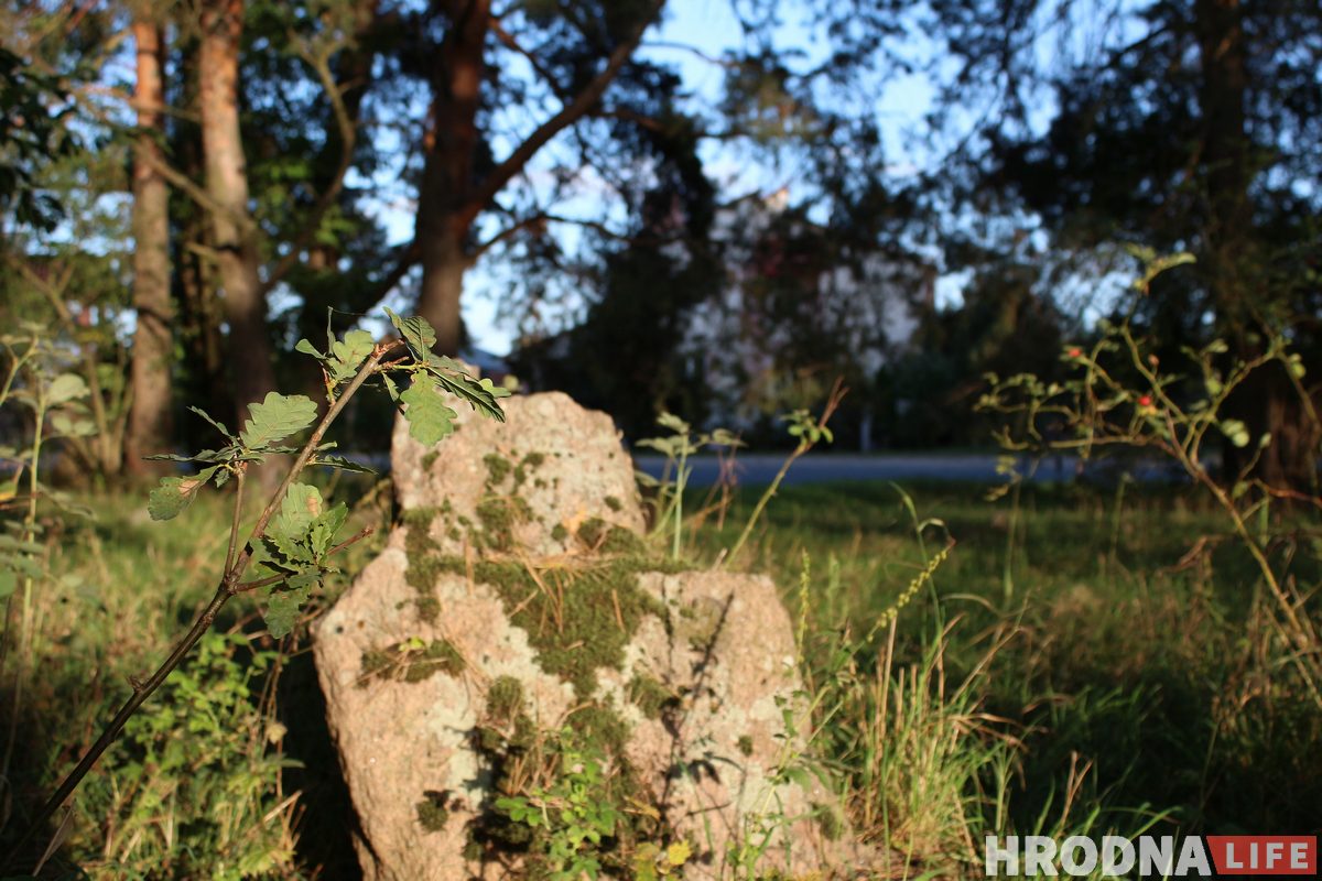 Самый счастливый транспорт для “Шляху Тызенгауза”. Под Гродно открыли новый веломаршрут