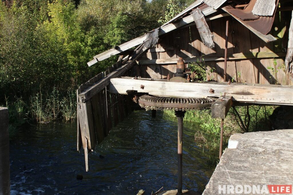 Самый счастливый транспорт для “Шляху Тызенгауза”. Под Гродно открыли новый веломаршрут