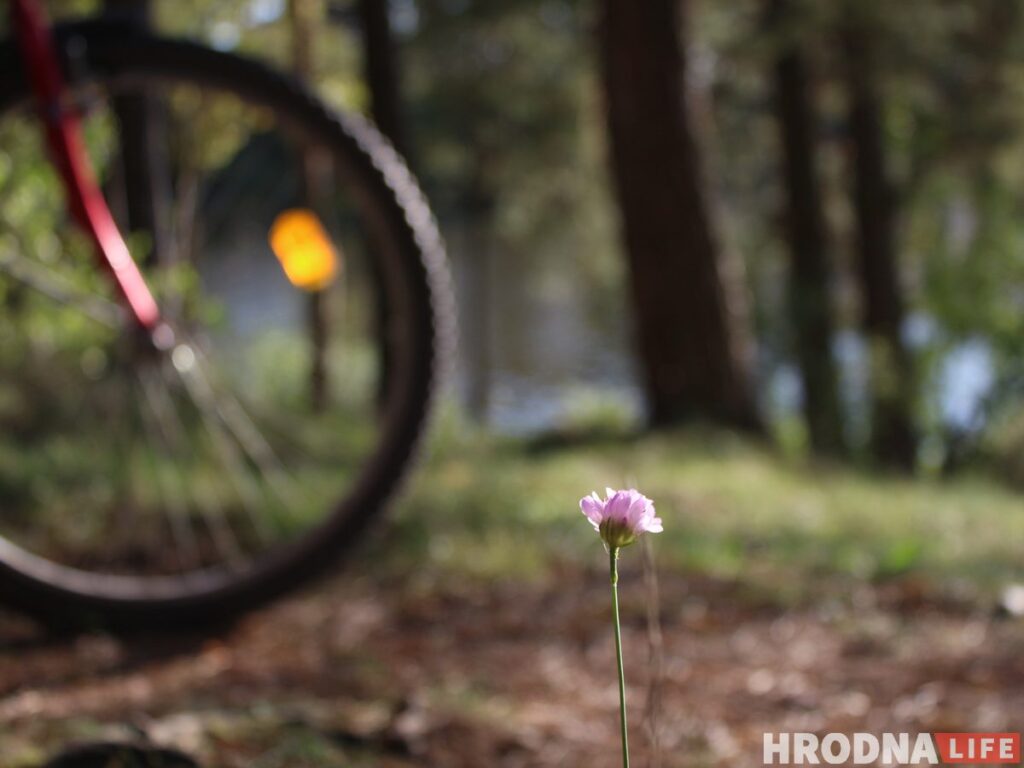 Самый счастливый транспорт для “Шляху Тызенгауза”. Под Гродно открыли новый веломаршрут