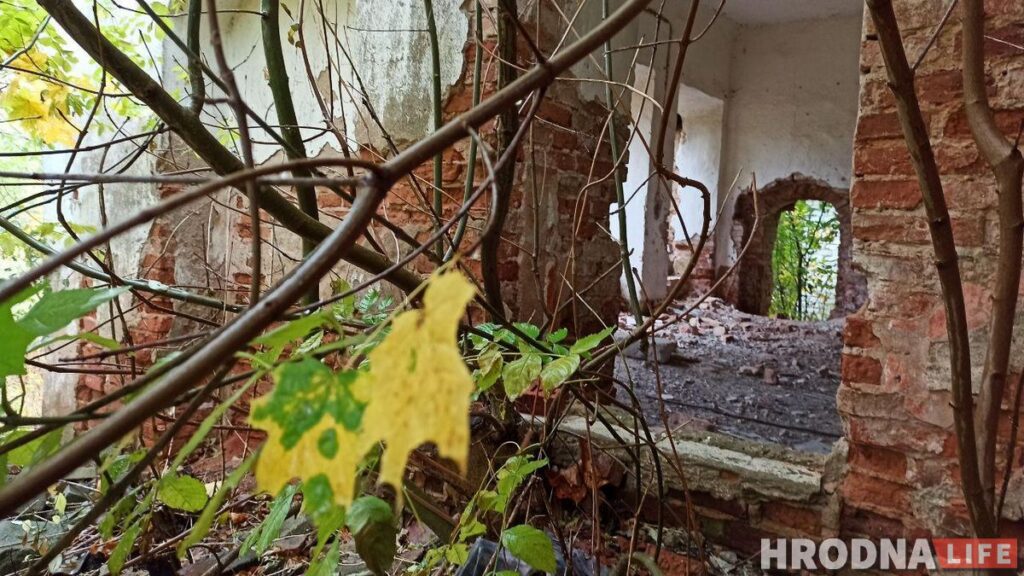 Путешествие под зонтом: замки Любчи и Новогрудка, самый старый костел и музей под открытым небом - за 1 день и 280 километров