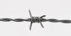 В Мостах прокололи шины в семи автомобилях сотрудников РУВД. Возбудили уголовное дело В Мостах прокололи шины в семи автомобилях сотрудников РУВД. Возбудили уголовное дело