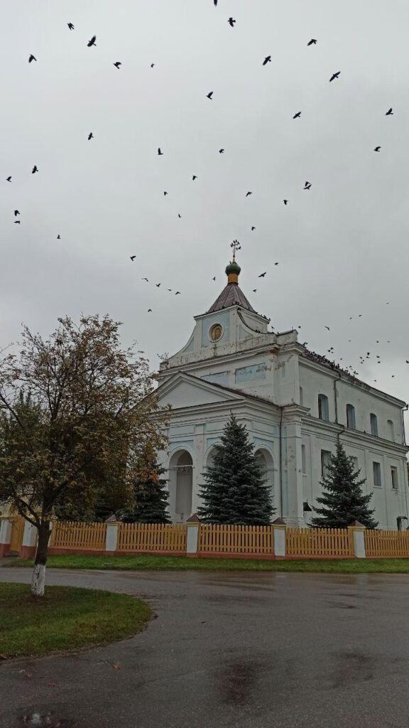 Путешествие под зонтом: замки Любчи и Новогрудка, самый старый костел и музей под открытым небом - за 1 день и 280 километров