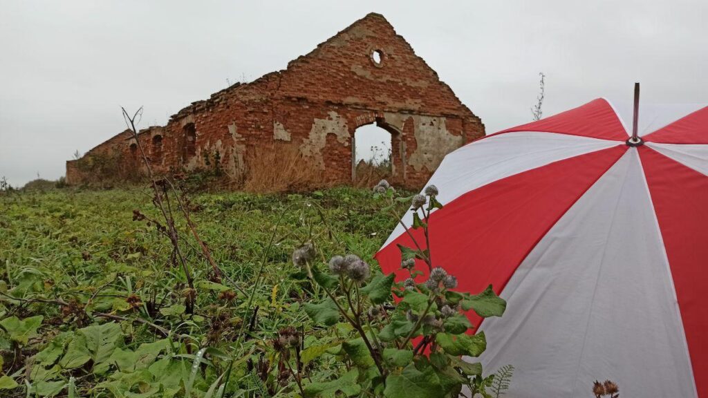 Путешествие под зонтом: замки Любчи и Новогрудка, самый старый костел и музей под открытым небом - за 1 день и 280 километров