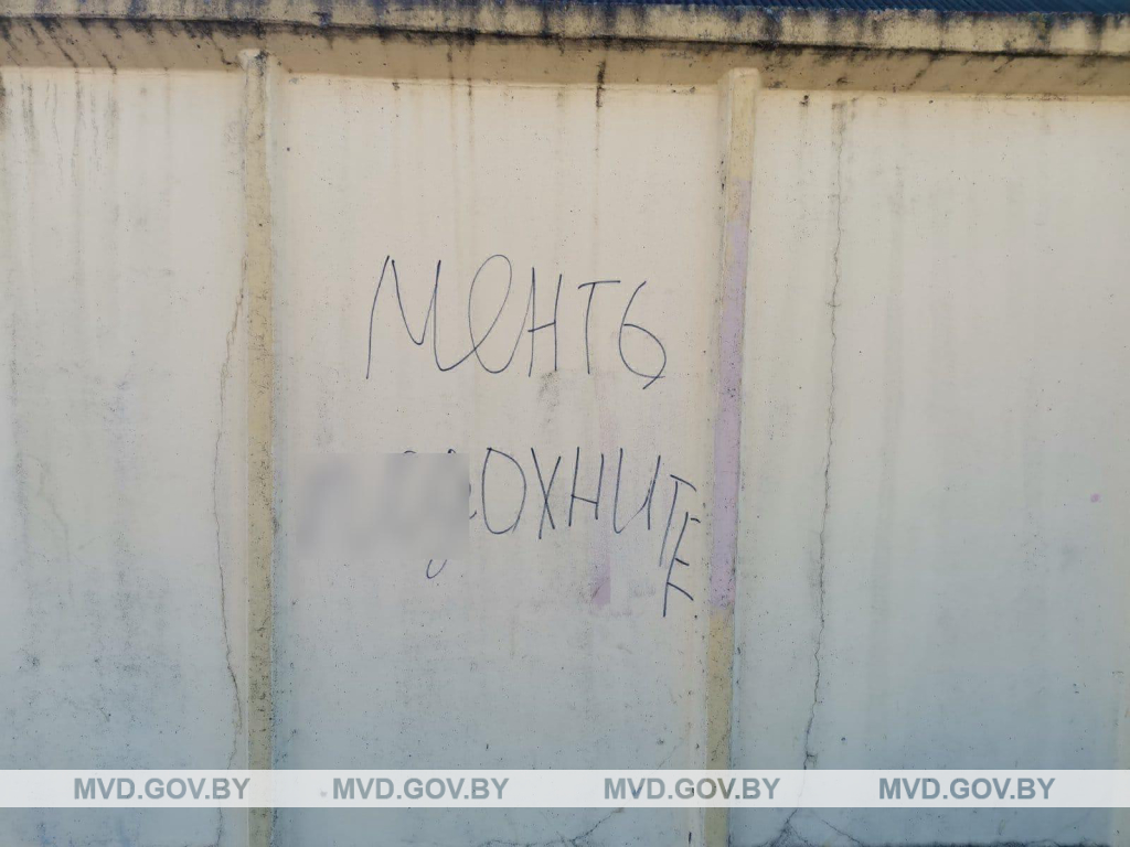 Пенсионерку из Лиды будут судить по “уголовке” за надпись на здании Пенсионерку из Лиды будут судить по “уголовке” за надпись на здании