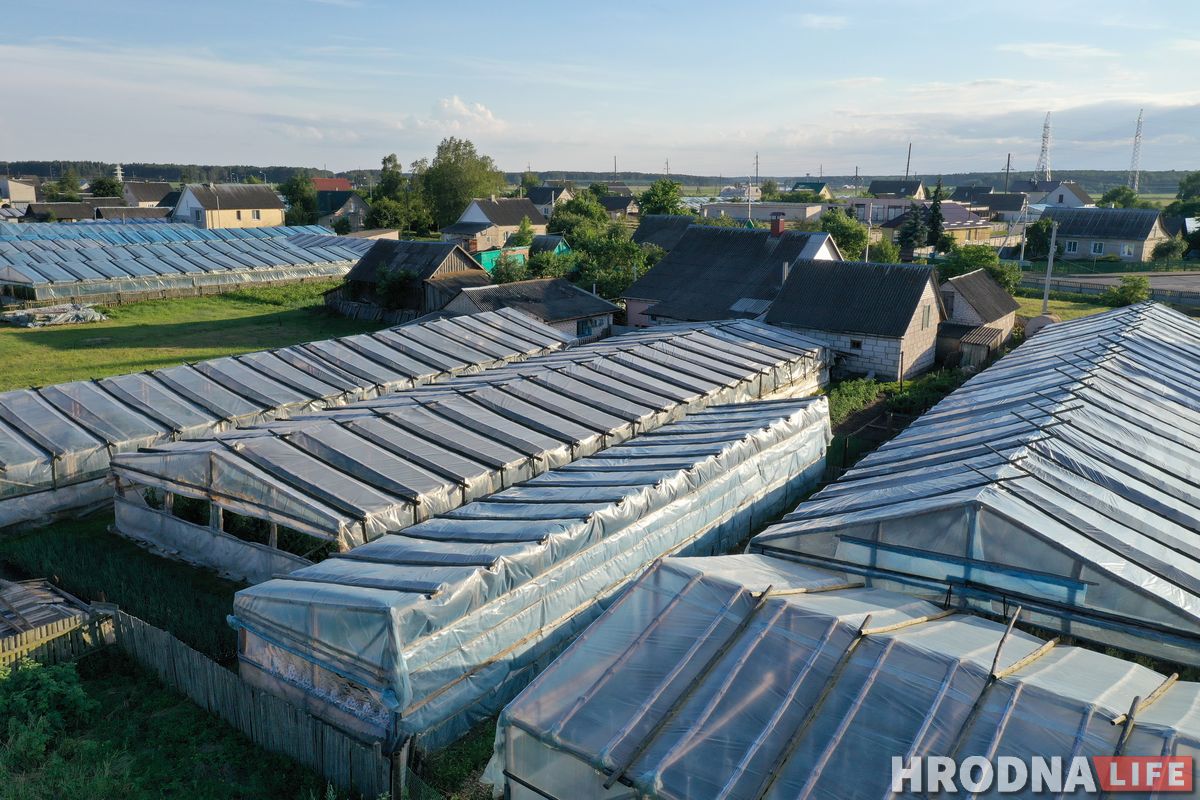 «Ивье-де-Жанейро», Трабы и Гольшаны. Где увидеть самую старую мечеть и самое литературное привидение Гродненщины