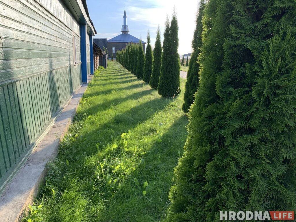 «Ивье-де-Жанейро», Трабы и Гольшаны. Где увидеть самую старую мечеть и самое литературное привидение Гродненщины