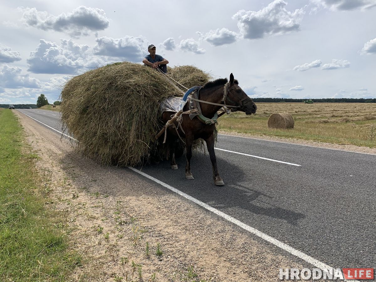 «Ивье-де-Жанейро», Трабы и Гольшаны. Где увидеть самую старую мечеть и самое литературное привидение Гродненщины