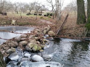 Гродненскую форель хотят охранять в рамках международного проекта. Что сейчас с реками под Гродно, где ее ловили руками