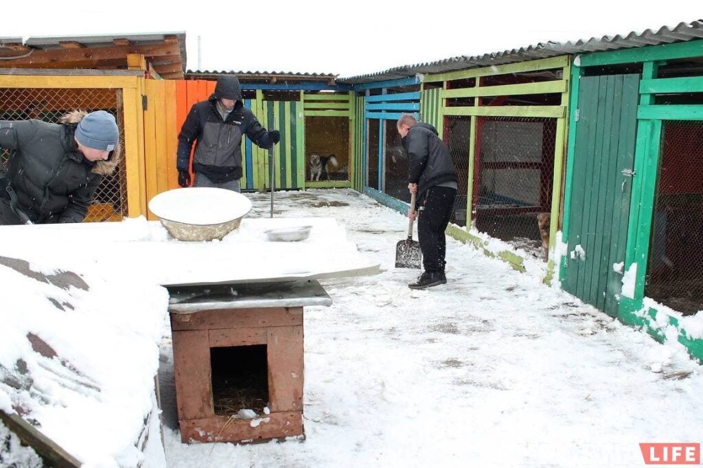 Спасли из сугробов: гродненцы помогли волонтерам расчистить заваленный снегом "домик для собак"