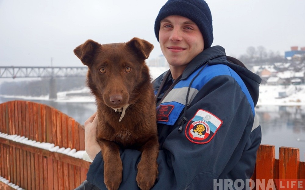 На “Юбилейном” собака гналась за зайцем и провалилась под лед: ее спасли водолазы